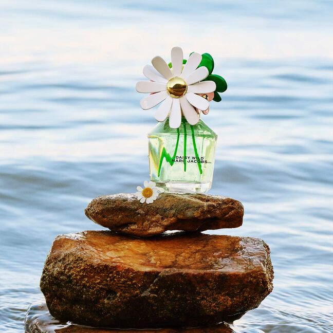 בושם לאישה DAISY WILD א.ד.פ