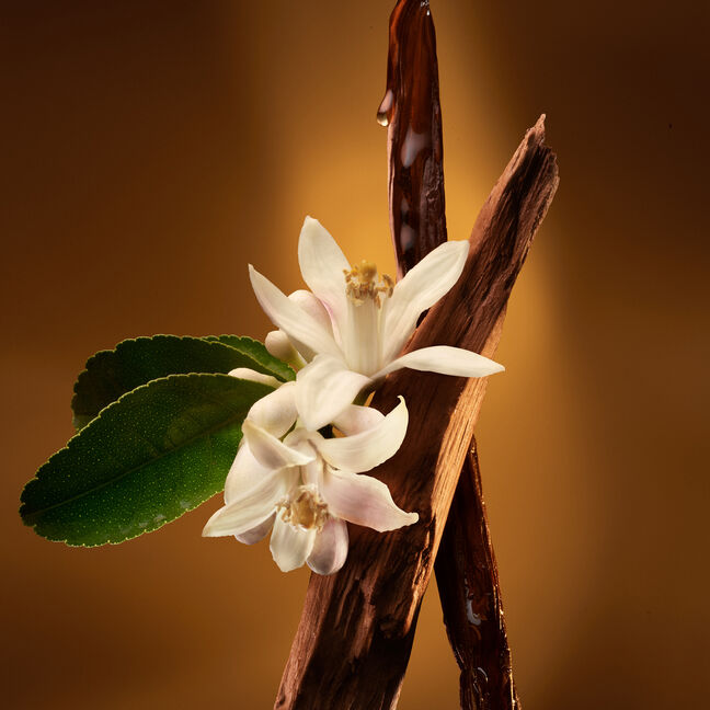 בושם לאישה ZADIG L'INTENSE א.ד.פ