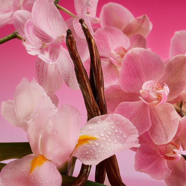 בושם לאישה EUPHORIA MAGNETIC ELIXIR INTENSE פרפיום