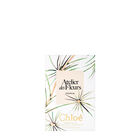 CEDRUS LIMITED EDITION image number null