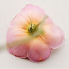 ROSA DAMASCENA image number null