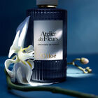 ORCHIDEE MINT image number null