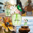 בושם לאישה DAISY WILD א.ד.פ image number null