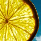 בושם לגבר BOTTELED SUMMER CITRUS א.ד.פ image number null