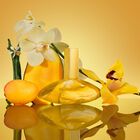 בושם לאישה EUPHORIA SOLAR ELIXIR INTENSE פרפיום image number null