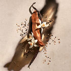 בושם לאישה ZADIG א.ד.פ image number null