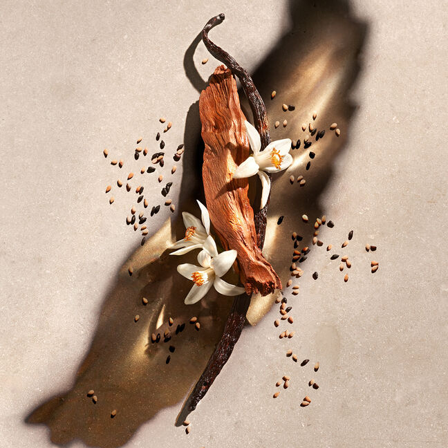 בושם לאישה ZADIG א.ד.פ