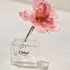 בושם לאישה L’EAU DE PARFUM INTENSE א.ד.פ image number null