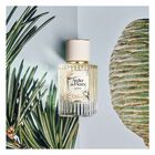 CEDRUS LIMITED EDITION image number null