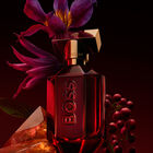 בושם לאישה THE SCENT ELIXIR PARFUM INTENSE image number null