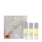 BRITOLOGNE COLLECTION BOX image number null