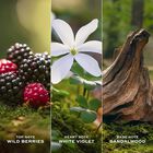 בושם לאישה DAISY א.ד.ט image number null