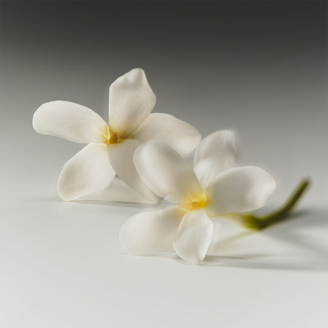 בושם לאישה COSMIC INTENSE אדפ