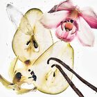 מיסט לגוף ולשיער NUDE VANILLA image number null
