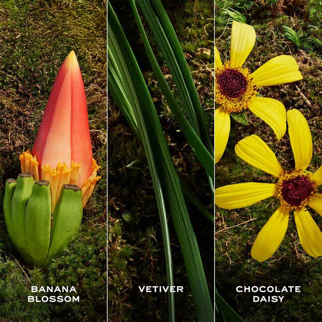 בושם לאישה DAISY WILD EXTRA א.ד.פ