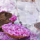 YOUNG ROSE image number null