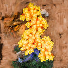 DE LOS SANTOS image number null