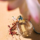 בושם לאישה NOMADE LUMIERE א.ד.פ image number null