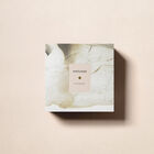 EXISTENCE image number null