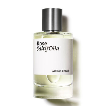 ROSE SALTIFOLIA