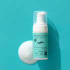 מוס ניקוי לעור פנים רגיל-יבש image number null