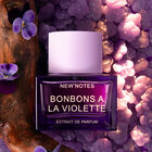 BONBONS A LA VIOLETTE image number null