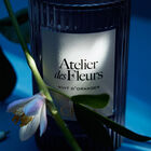 NUIT DORANGER image number null