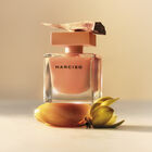 בושם לאישה AMBREE א.ד.פ image number null