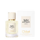 VERBENA image number null