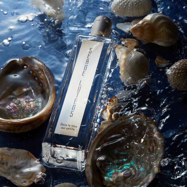 DAN LE BLU QUI PETILLE