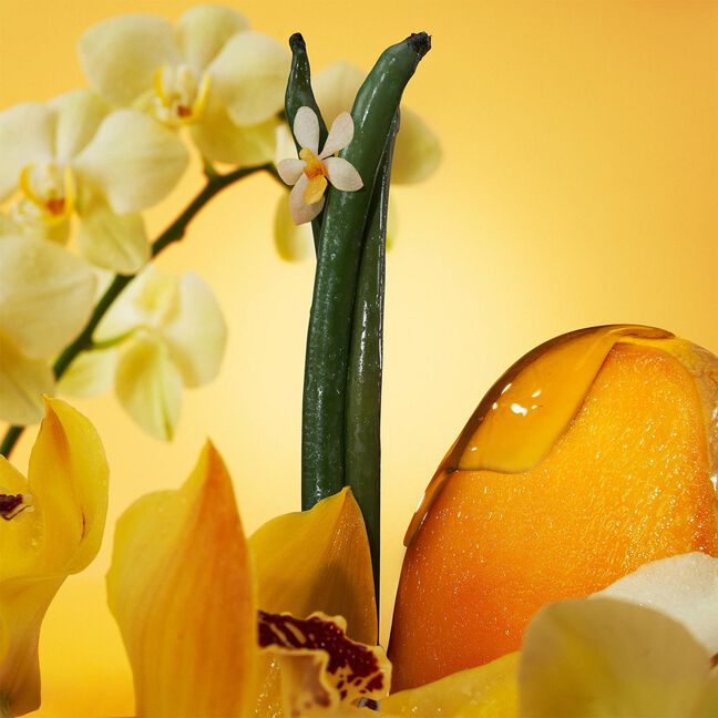 בושם לאישה EUPHORIA SOLAR ELIXIR INTENSE פרפיום