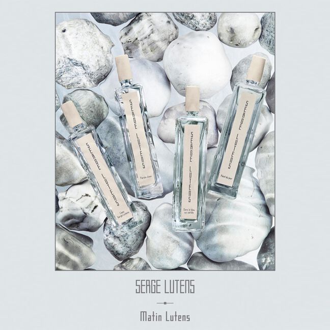 DAN LE BLU QUI PETILLE