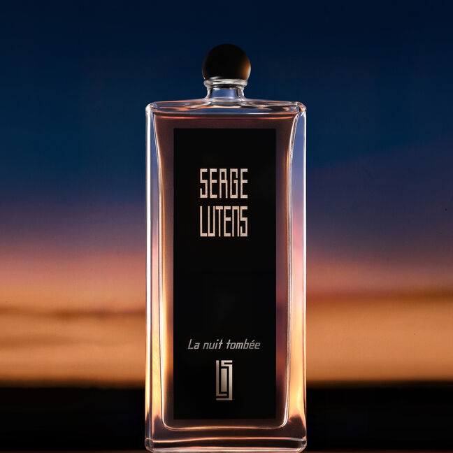 LA NUIT TOMBEE