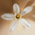 NEROLI image number null