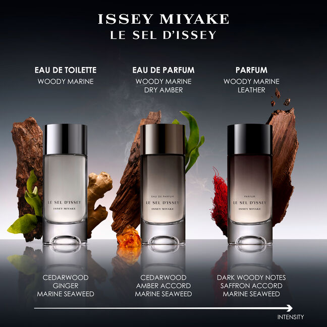 בושם לגבר LE SEL D'ISSEY פרפיום