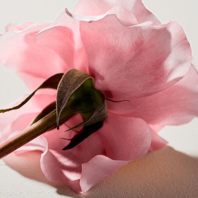 בושם לאישה REFILLABLE א.ד.פ