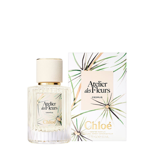 CEDRUS LIMITED EDITION