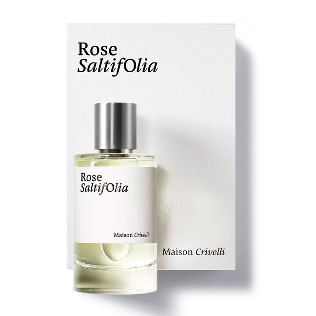 ROSE SALTIFOLIA