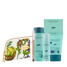 מארז CLEAN START image number null