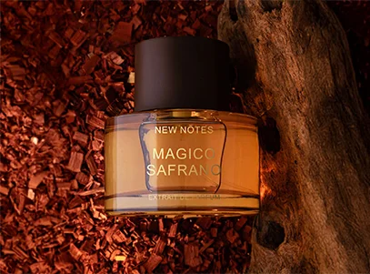 individual-collections-1