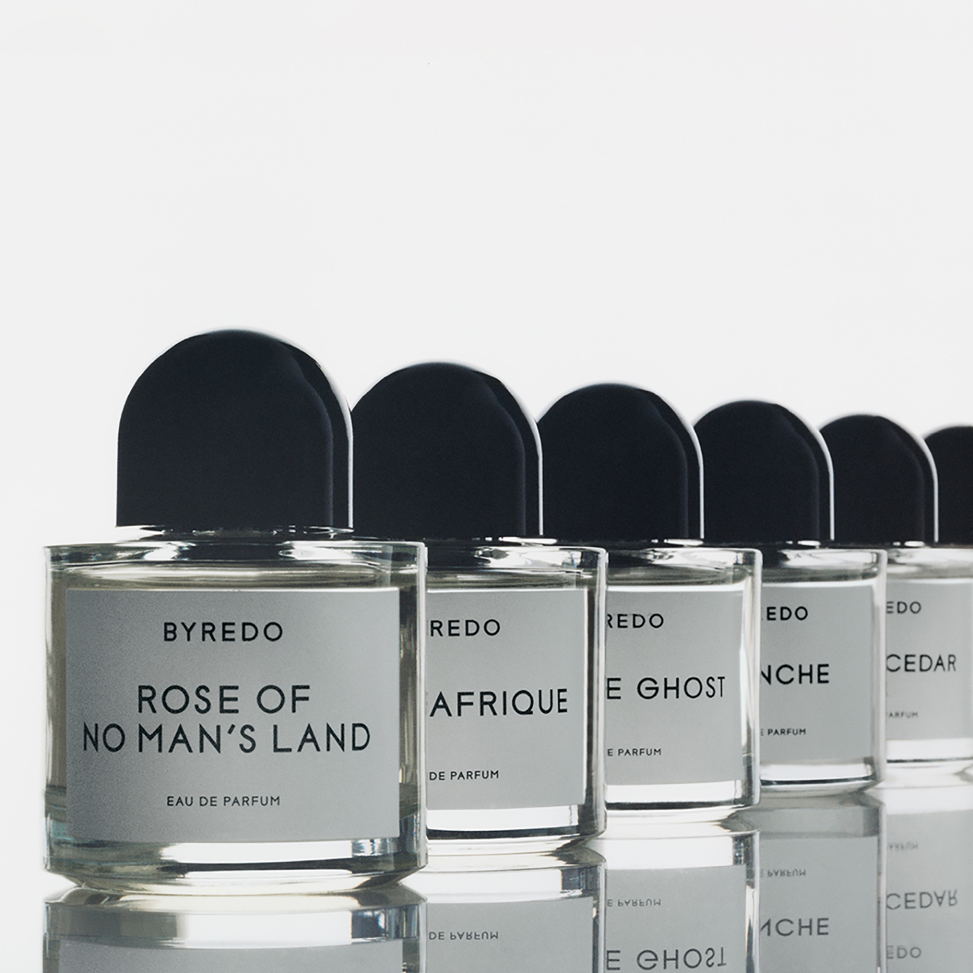 DESERT DAWN BYREDO | Individual