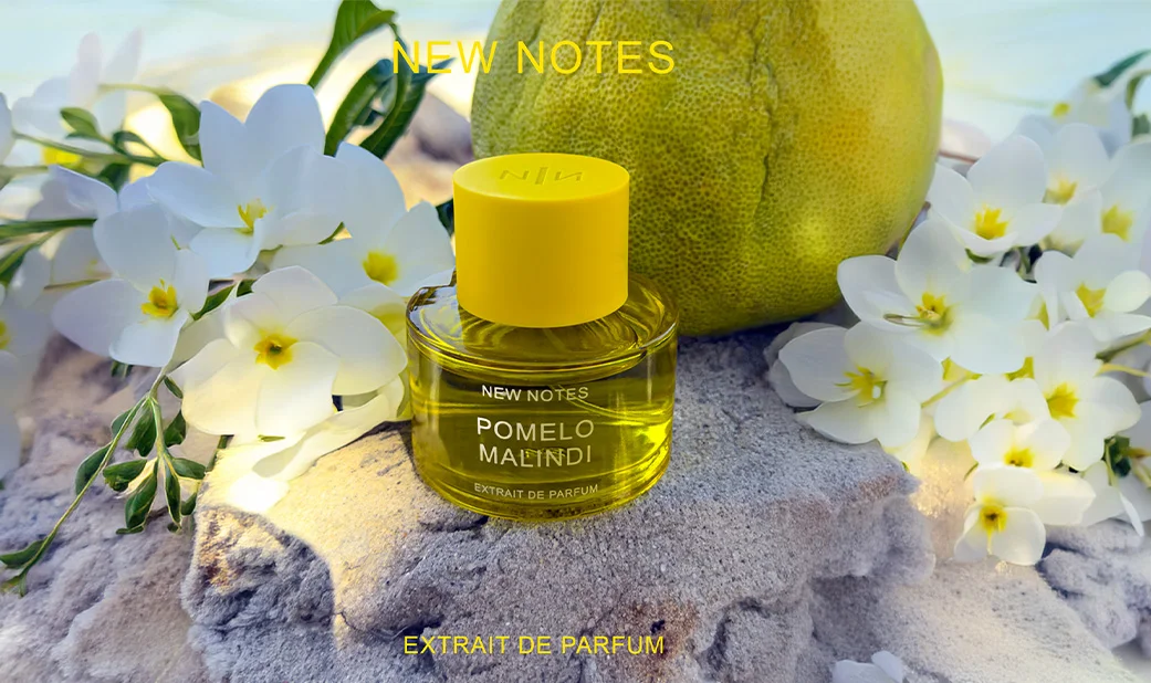 NEW NOTES